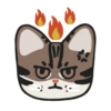 SWAG leopard cat 8