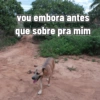vou embora antes que sobre pra mim