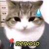 nervoso