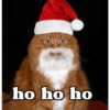 ho ho ho