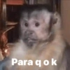 Para q o k