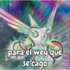 para el wey que se cago