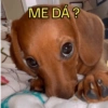 ME DÁ ?