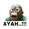 AYAH.CO