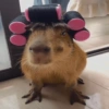 Capibara 🧸✨ 9