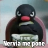 S
Nervia me pone