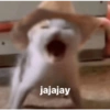 jajajay