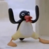 PINGU REAÇÕES  5