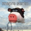mepre sento soi ela mor de tu bida
