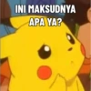 INI MAKSUDNYA APA YA?