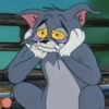 Tom and Jerry 12