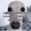 no me coqueteen de
broma pq de verdad
me enamoro
