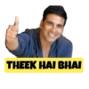 THEEK HAI BHAI