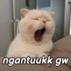 ngantuukk gw
