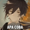 APA COBA