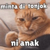 Meong yg ramah 18