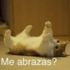 Me abrazas?