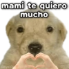 mami te quiero mucho Geysio