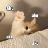 aku aku aku aku