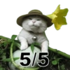 5/5