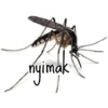 nyimak