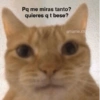 Pq me miras tanto?
quieres q t bese?
amame.xfi