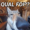 QUAL FOI??
MAN
loh
beat
FOLDIGAY