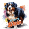尖 Mi perro Silvio