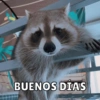 BUENOS DIAS