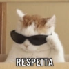 MEMES ANIMAIS  8