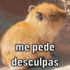 me pede
desculpas