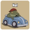 Nel 1₁