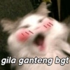 111 gila ganteng bgt