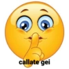 Chingaderas feas jajakksaks 8