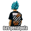 🔥Dragón Ball Shitpost🔥 12