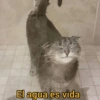 El agua es vida