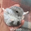 🤪👌Shitposting Random 😎🤟 5