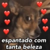MELHORES PARA FLERTAR 💖 14