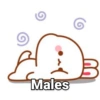 Males B
