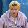 Gose Let's Go Seventeen 2