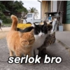 serlok bro