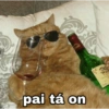 MEMES ANIMAIS  11