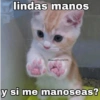 lindas manos
@awindxStristessss
y si me manoseas?