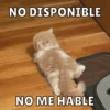 NO DISPONIBLE NO ME HABLE