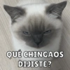 QUÉ CHINGAOS
DIJISTE?