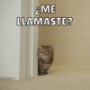 &ME
LLAMASTE?