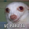 VC PARA TA