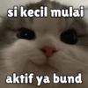 Meong yg ramah 8