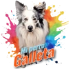 Mi perro Galleta