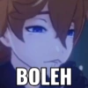BOLEH